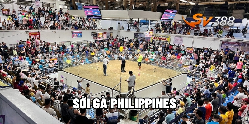 Sới Gà Philippines