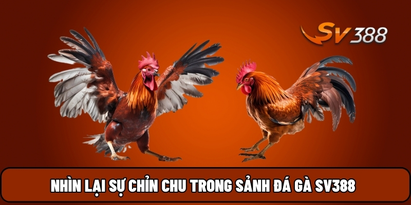 Nhìn lại sự chỉn chu trong sảnh Đá Gà SV388